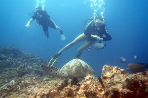 Click For Gallery Galeri Galeri Java Adventure Seekers