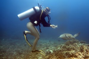 Nusa Lembongan Diving Trip From Bali 2D1N nusa lembongan diving trip nusa lembongan trip,diving trip,manta trip,turtle trip Java Adventure Seekers