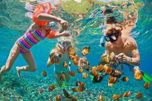 Nusa Lembongan Snorkeling Trip From Bali 2D1N nusa lembongan trip nusa lembongan trip,snorkeling trip,manta trip,turtle trip Java Adventure Seekers