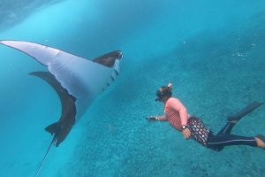 Nusa Penida Snorkeling + West Trip nusa penida snorkeling trip snorkeling nusa penida Java Adventure Seekers