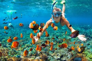 Snorkeling Trip Menjangan Tabuhan Snorkeling Trip & Diving In Menjangan & Tabuhan Island Java Adventure Seekers